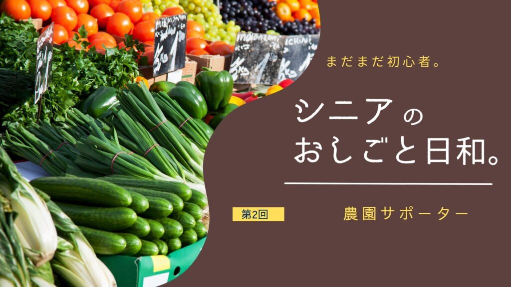 シニアのおしごと日和：第2回「農園サポーターになってみた」