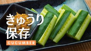 キュウリの保存方法を解説。旬の時期やオススメのレシピをご紹介