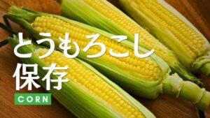 とうもろこしの保存方法を解説。旬の時期やおいしさの見分け方までを紹介