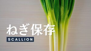 ネギの保存方法を解説。冷凍保存やおいしさの見分け方などを紹介