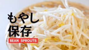 もやしの保存方法を徹底解説。冷凍保存やおいしさの見分け方などを紹介