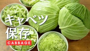 キャベツの保存方法を徹底解説。長期保存からお手軽レシピまで