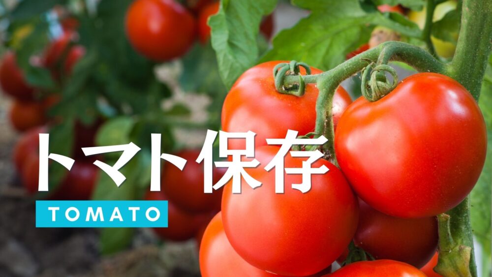 トマトの保存方法を解説。簡単レシピから豆知識まで