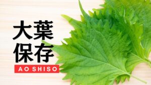 大葉の保存方法を徹底解説。旬の時期やおいしさの見分け方まで