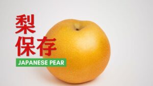 梨の保存方法を徹底解説!保存期間と切った後のテクニックもご紹介