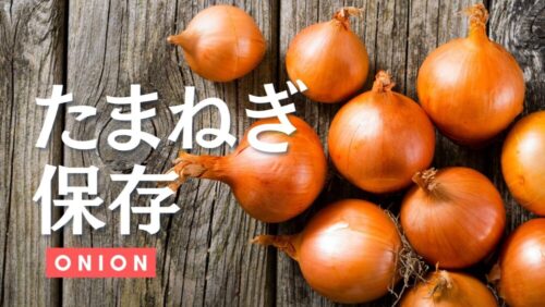 タマネギの保存方法を徹底解説。見分け方から相性の良い食材まで