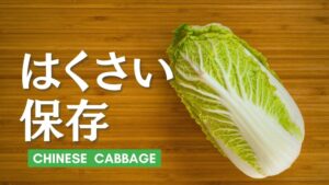 白菜の保存方法を徹底解説。旬の時期やおいしさの見分け方まで