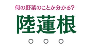 「陸蓮根」は何の野菜のこと？【食材の豆知識】
