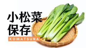 小松菜の保存方法を徹底解説。旬の時期やおいしさの見分け方まで