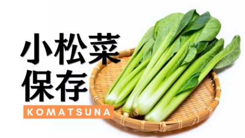 小松菜の保存方法を徹底解説。旬の時期やおいしさの見分け方まで