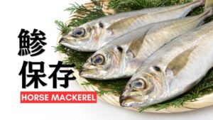 鯵の保存方法を徹底解説!冷蔵・冷凍保存のコツもご紹介