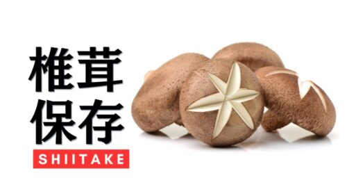 椎茸の保存方法を徹底解説。おすすめは冷凍保存で旨みUP