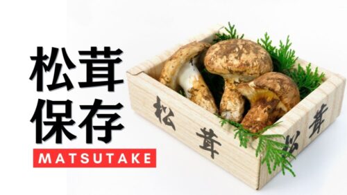松茸の保存方法を徹底解説!旬の時期やおいしさの見分け方まで